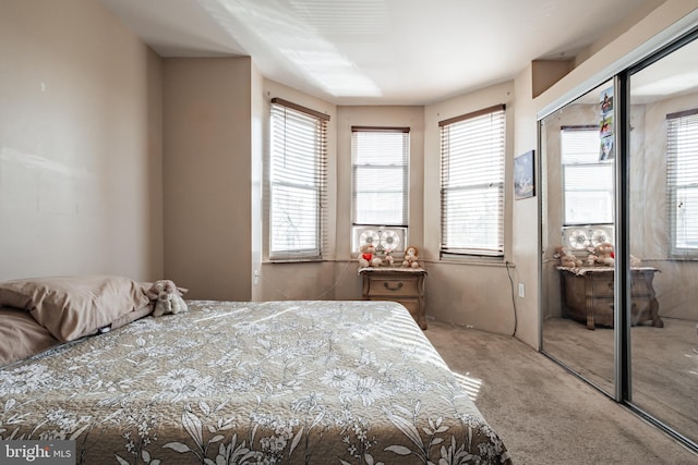 bedroom with a closet and carpet flooring