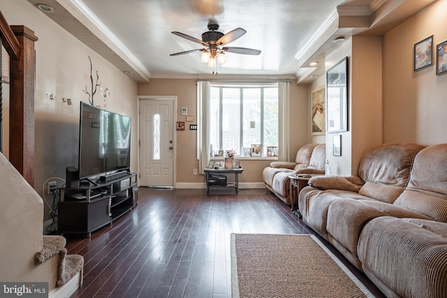 living room with crown molding, a tray ceiling, dark hardwood / wood-style flooring, and ceiling fan