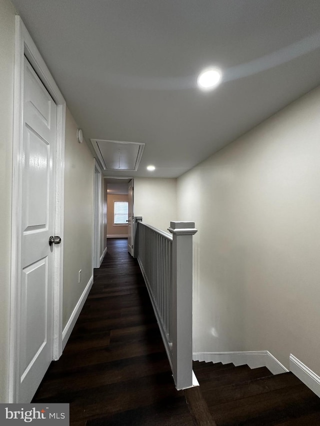 hall featuring dark wood-type flooring