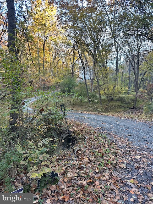 view of road