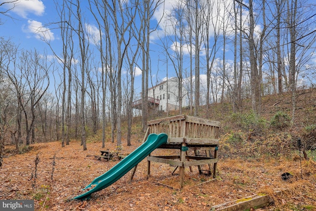 view of jungle gym