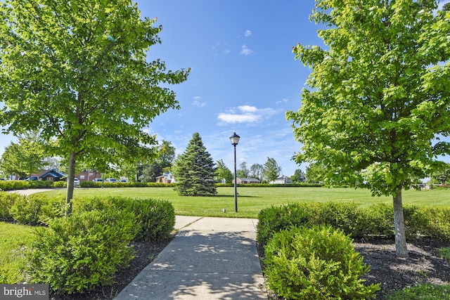 surrounding community featuring a lawn