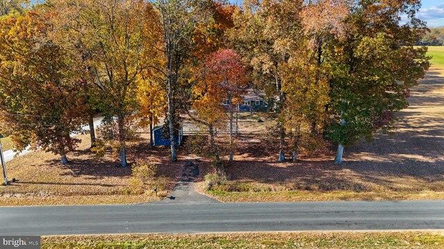 view of road