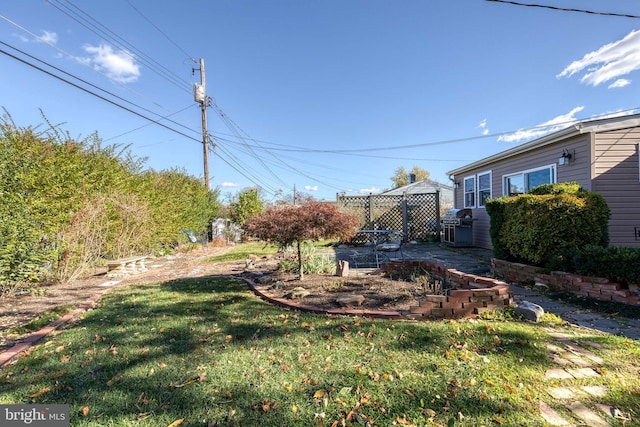 view of yard featuring a patio