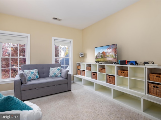 living room with carpet floors