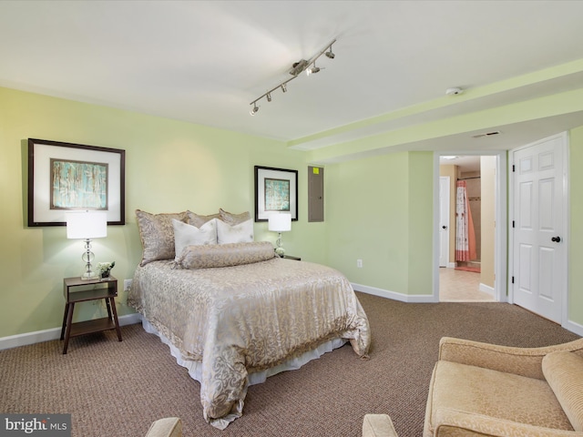 bedroom featuring carpet, rail lighting, and electric panel