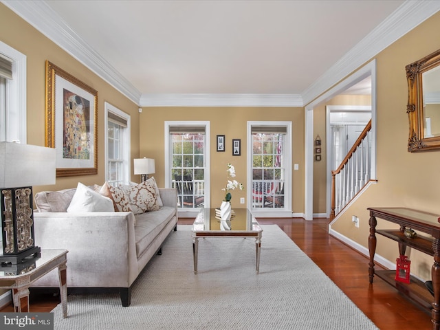 living room with dark hardwood / wood-style floors and crown molding