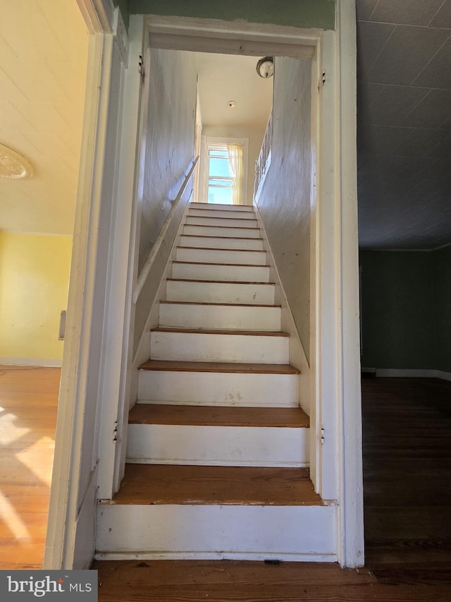 stairway with wood-type flooring