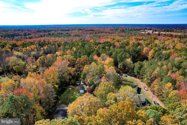 Listing photo 3 for 4.913ACRES Sarah St, Bowling Green VA 22427