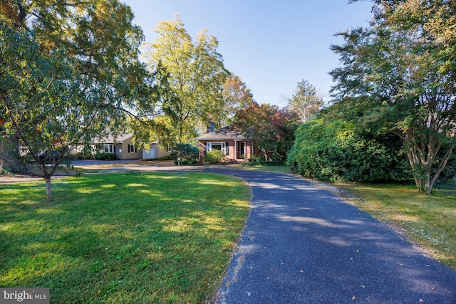 obstructed view of property with a front yard