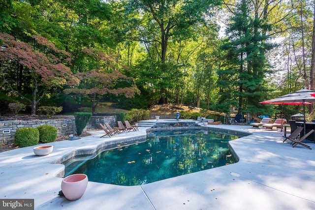 view of pool with a patio