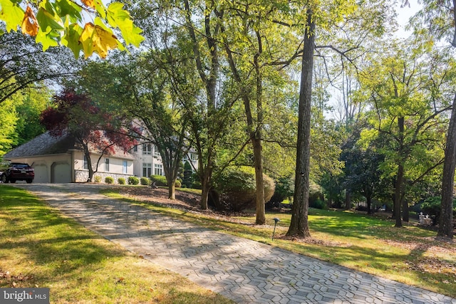 view of front facade featuring a front yard and a garage