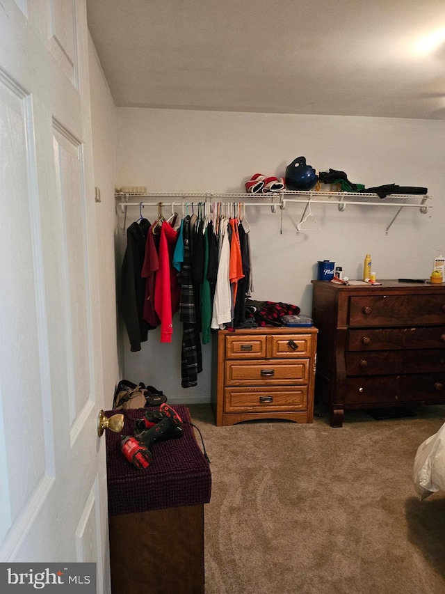 spacious closet featuring carpet