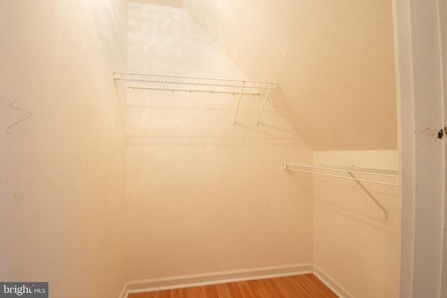 spacious closet featuring hardwood / wood-style floors