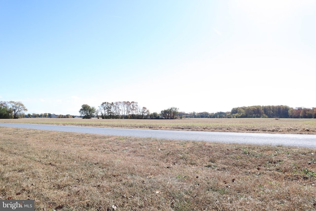 view of yard featuring a rural view