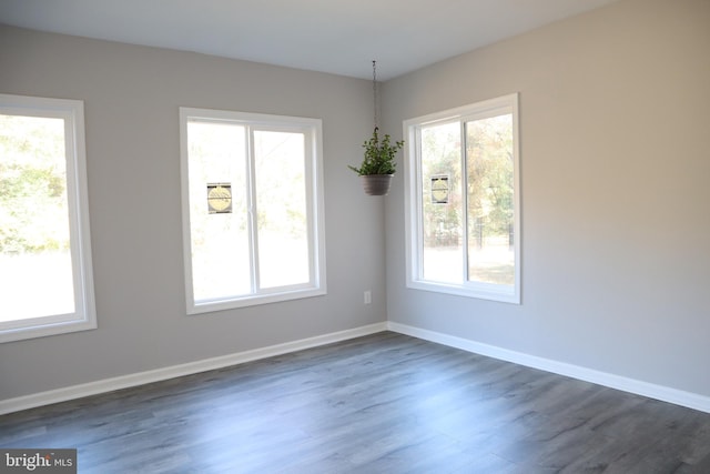 unfurnished room featuring dark wood-type flooring and plenty of natural light