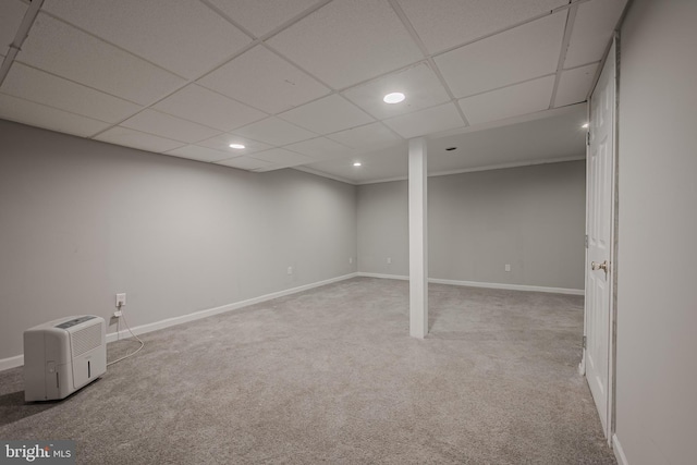 basement with a paneled ceiling and carpet flooring