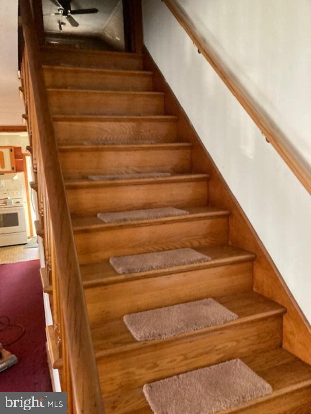 staircase featuring hardwood / wood-style flooring and ceiling fan