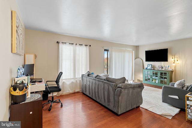 living room featuring wood-type flooring