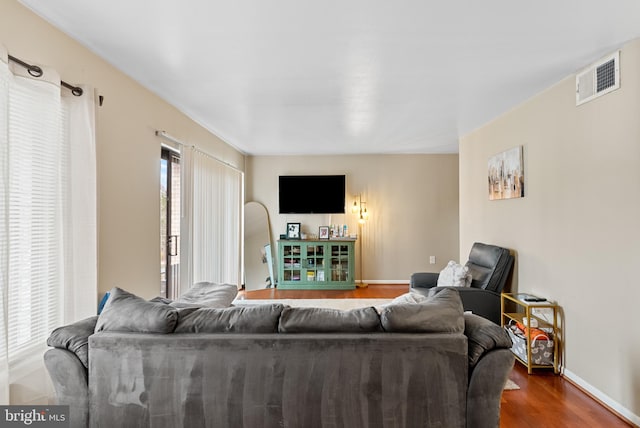 living room featuring wood-type flooring