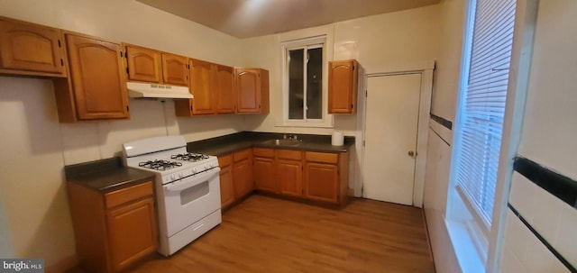 kitchen featuring light hardwood / wood-style floors, white range with gas cooktop, sink, and plenty of natural light