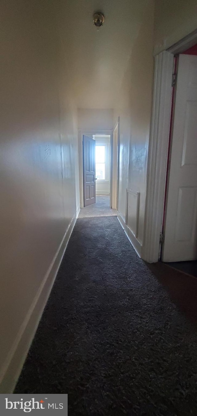 corridor featuring carpet floors