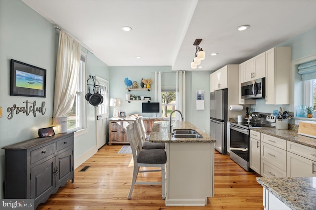 kitchen featuring stainless steel appliances, a wealth of natural light, sink, and light hardwood / wood-style floors