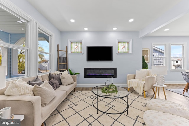 living room with light hardwood / wood-style floors and a healthy amount of sunlight