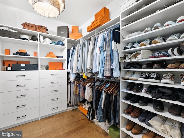 spacious closet featuring hardwood / wood-style floors