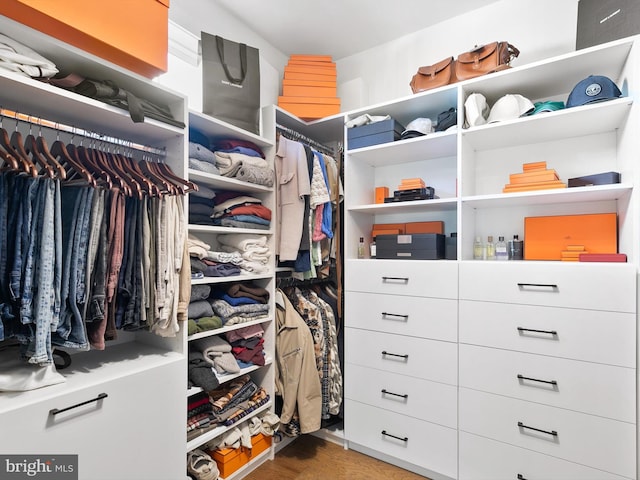 walk in closet featuring wood-type flooring