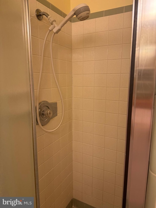 room details with tiled shower