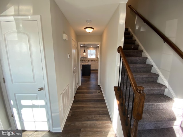 staircase featuring wood-type flooring