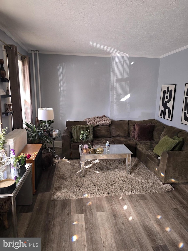 living room featuring crown molding, a textured ceiling, and hardwood / wood-style floors