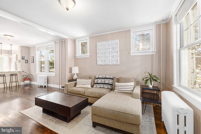 living room with dark hardwood / wood-style flooring, radiator, and a healthy amount of sunlight