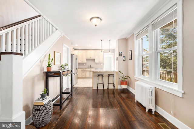 interior space with radiator, dark hardwood / wood-style floors, and sink