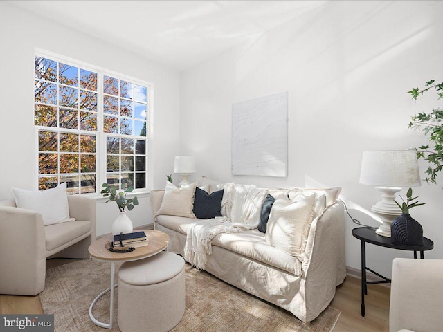 living room featuring light hardwood / wood-style floors