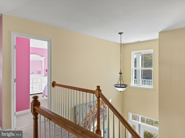 hallway featuring carpet floors