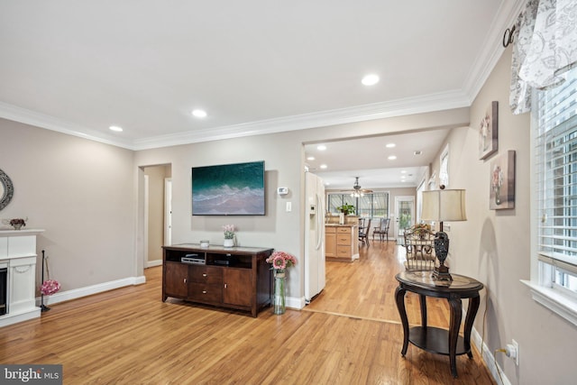 living room featuring ceiling fan, ornamental molding, and light hardwood / wood-style flooring