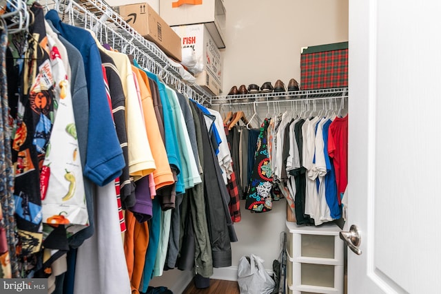 spacious closet featuring hardwood / wood-style floors