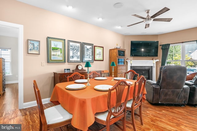 dining room featuring light hardwood / wood-style flooring, plenty of natural light, and ceiling fan