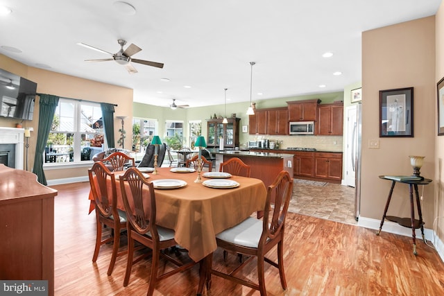 dining area with ceiling fan and light hardwood / wood-style flooring