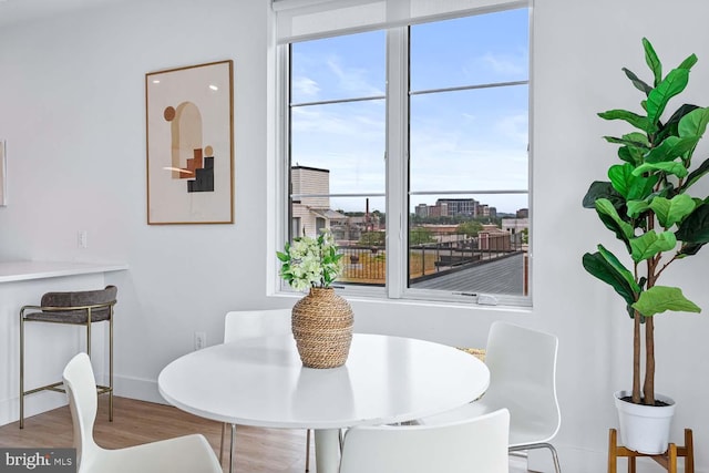 dining room featuring wood-type flooring