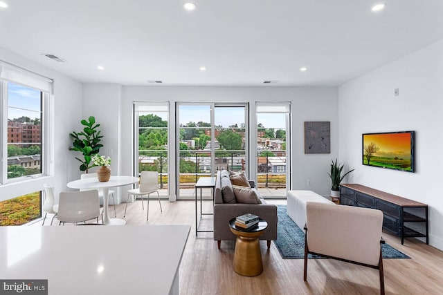 living room featuring plenty of natural light and light wood-type flooring