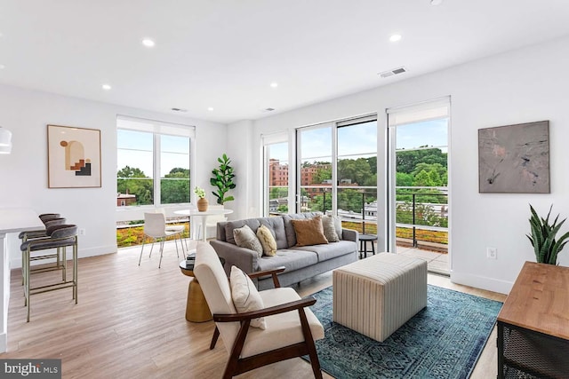 living room featuring light hardwood / wood-style flooring and a healthy amount of sunlight