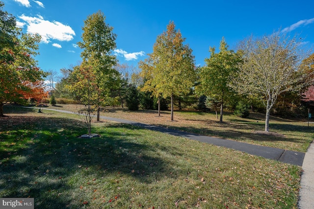 view of property's community with a yard