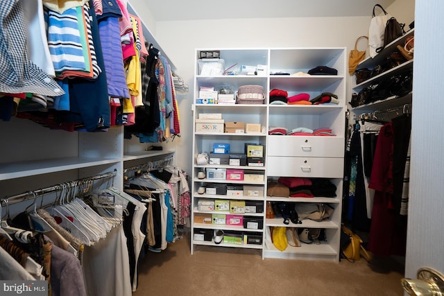 spacious closet with carpet