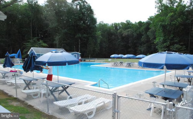 view of pool with a patio