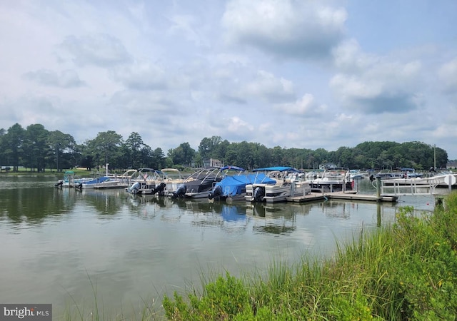 view of water feature featuring a dock