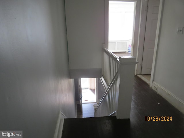 stairs featuring a healthy amount of sunlight and hardwood / wood-style floors