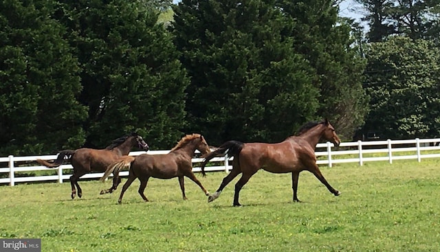 view of horse barn